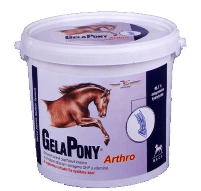 Gelapony Artro